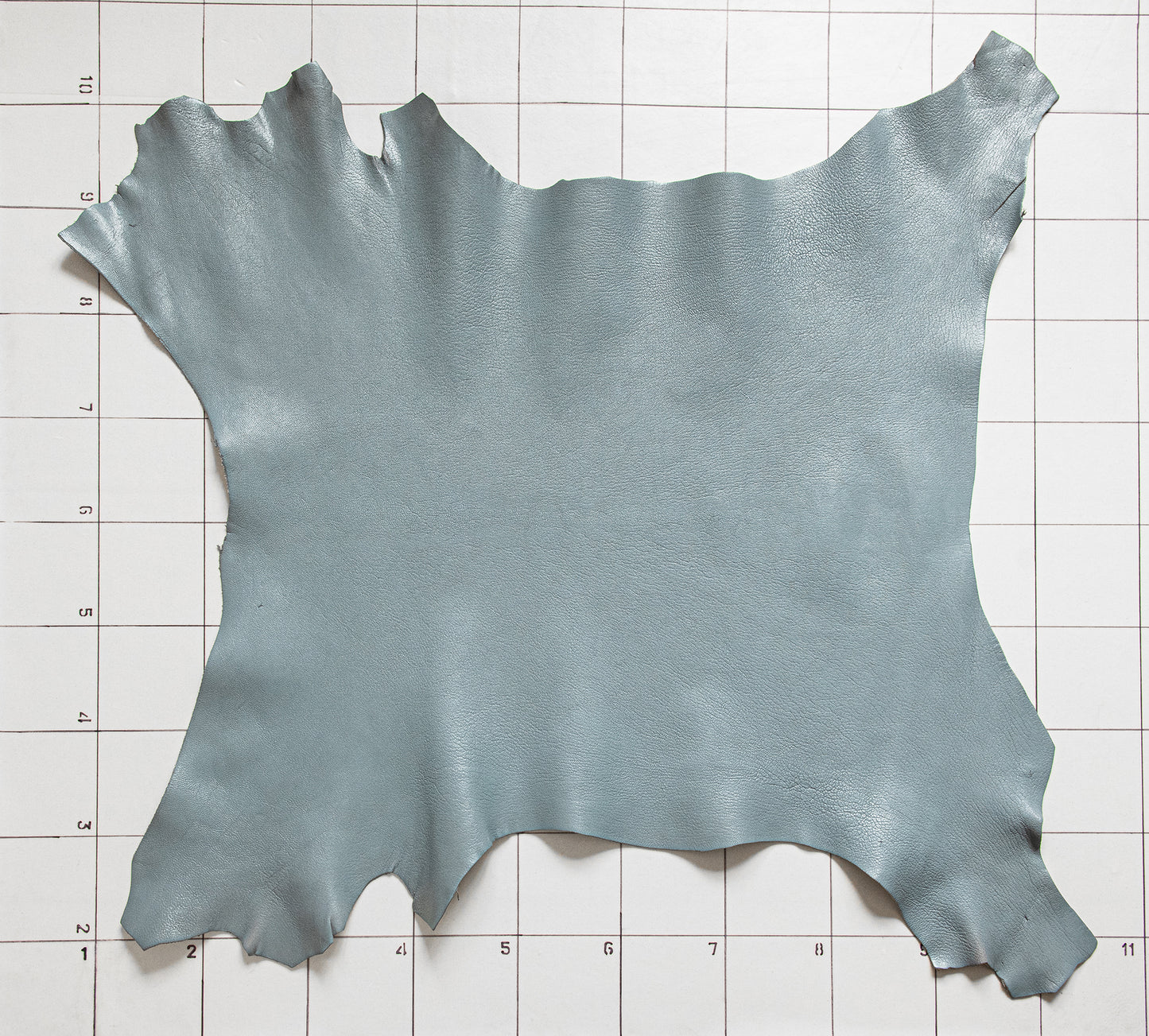 Goat Grey-Blue