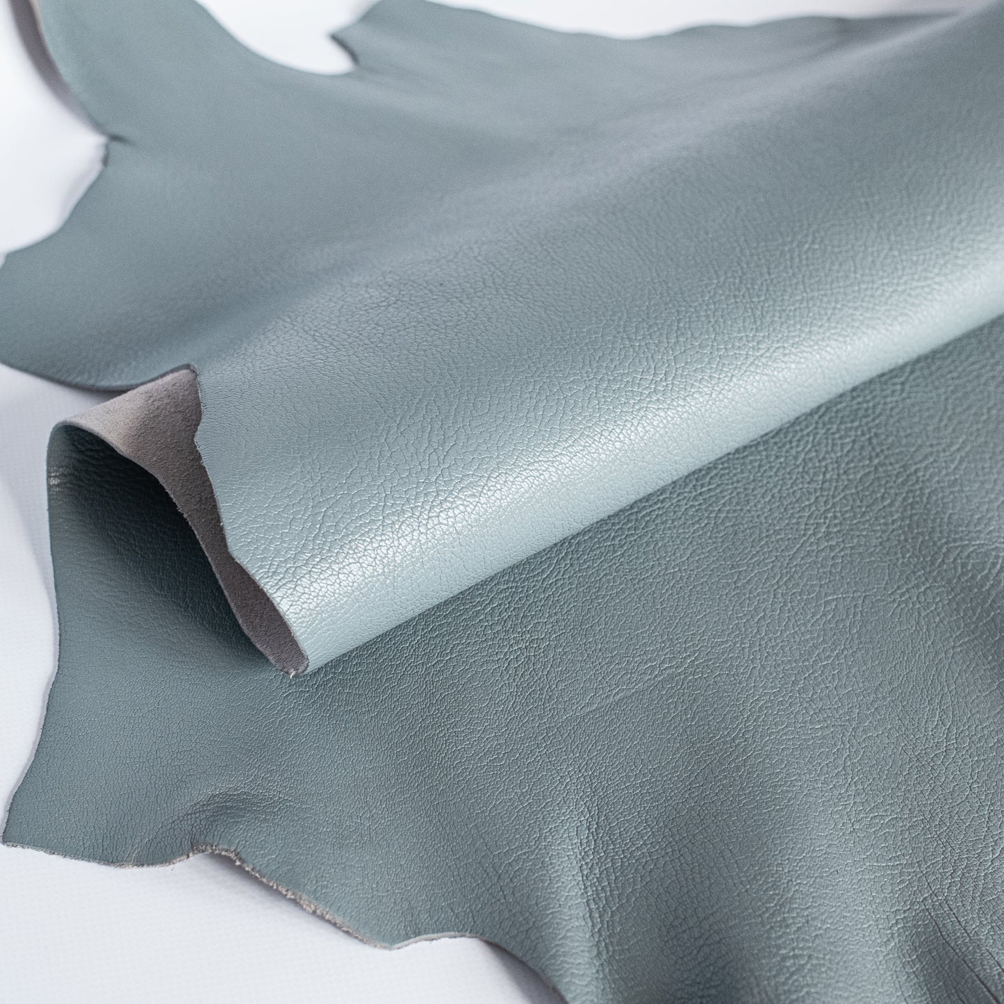 Goat Grey-Blue