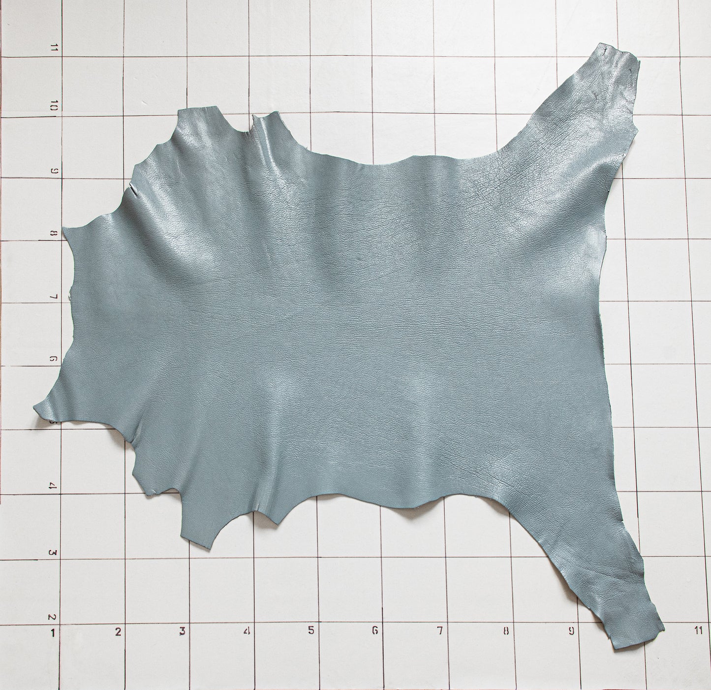 Goat Grey-Blue