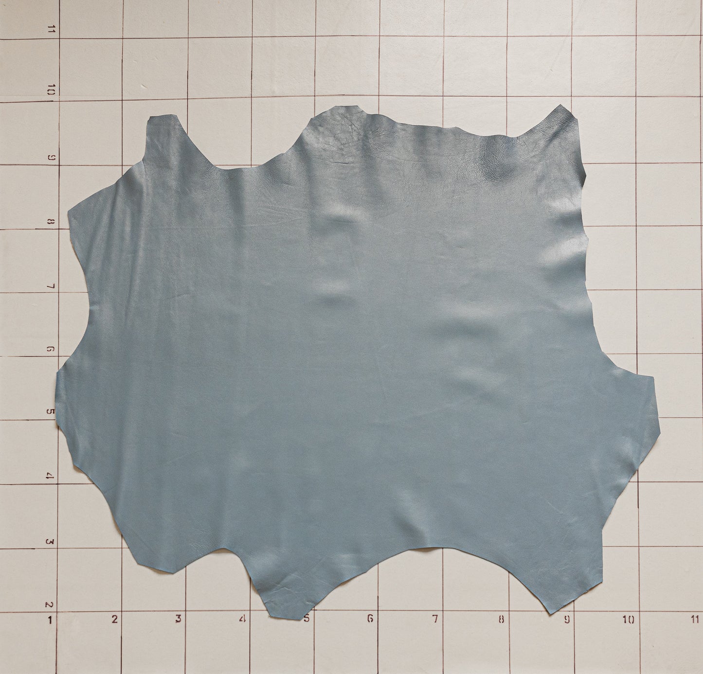 Goat Blue-Grey