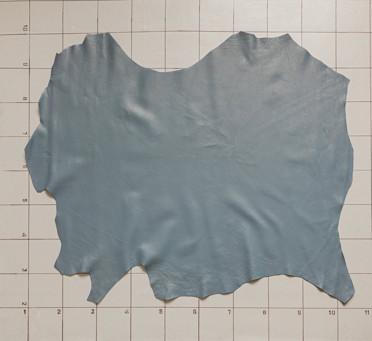 Goat Blue-Grey