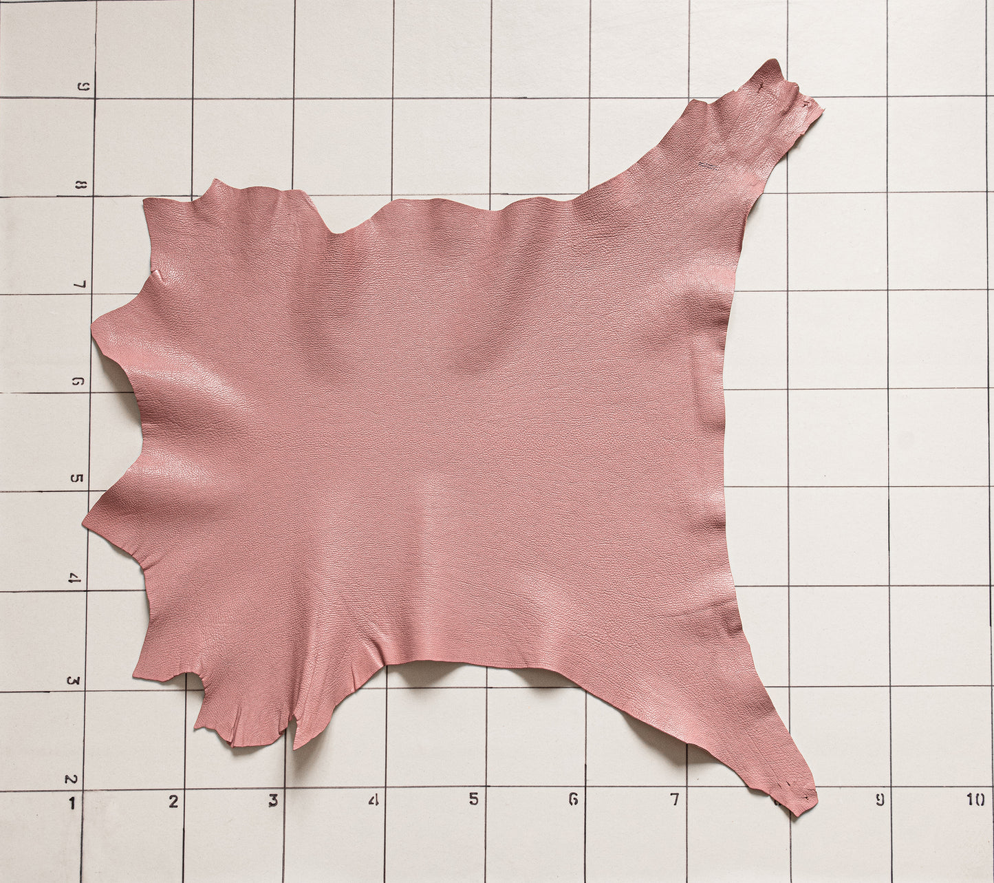 Goat Glossy Pink