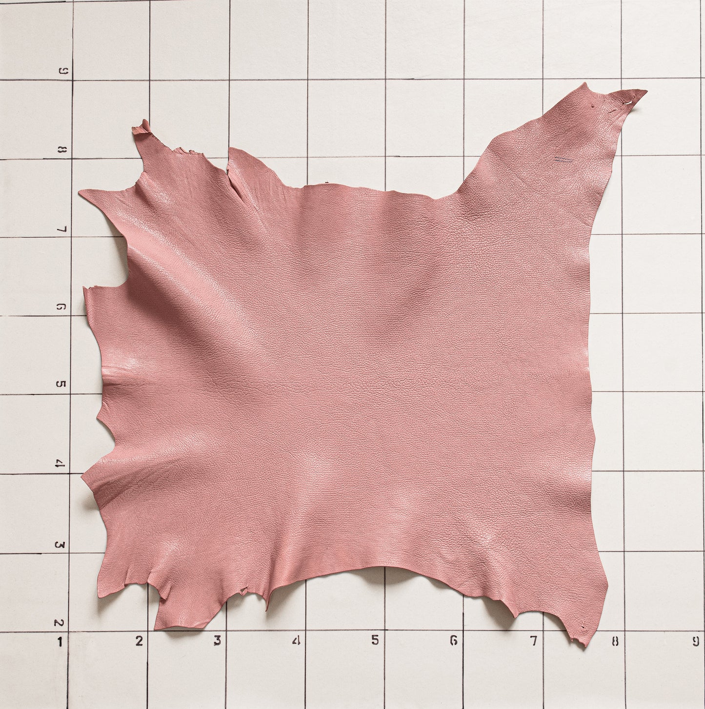Goat Glossy Pink