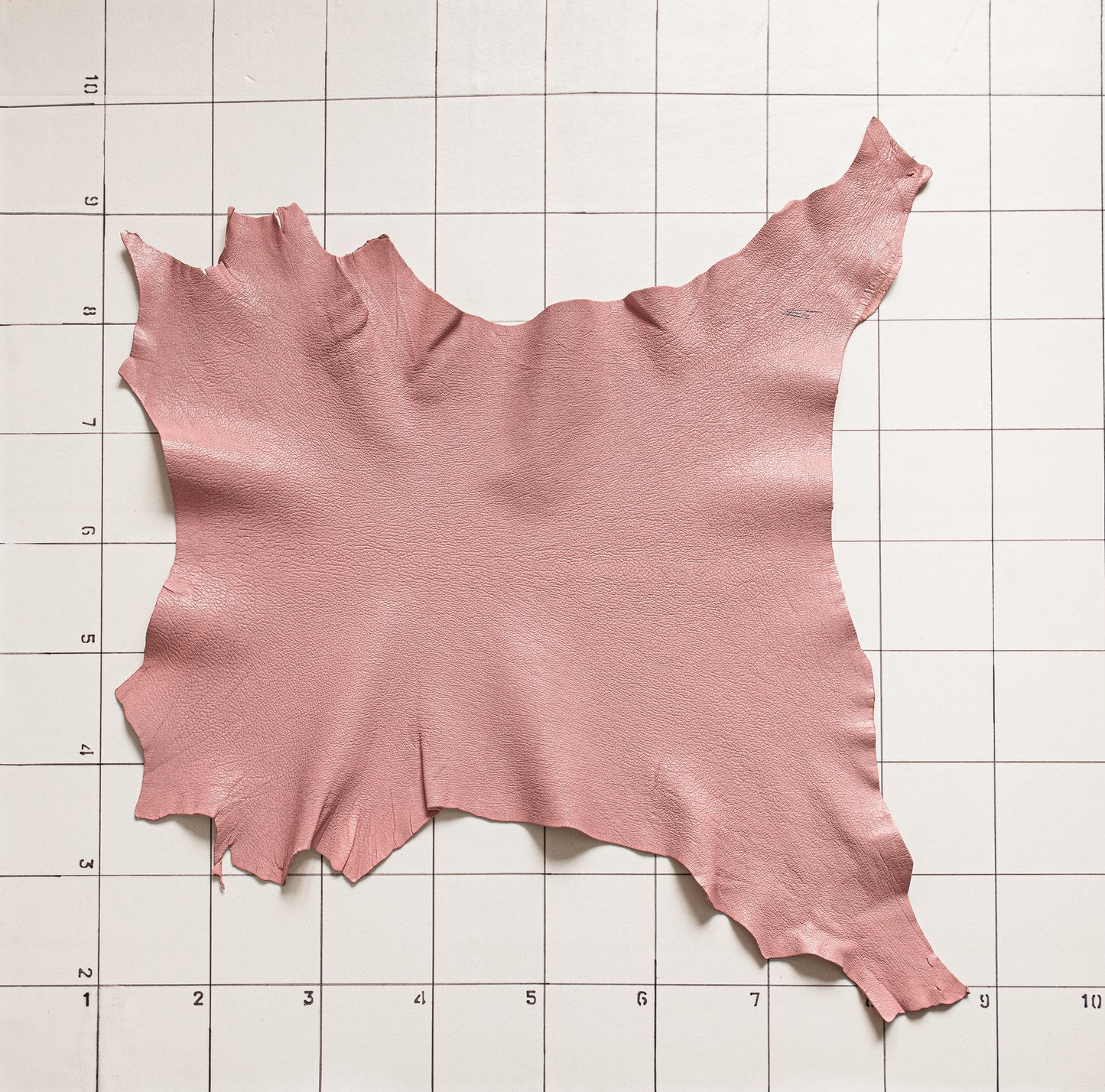 Goat Glossy Pink