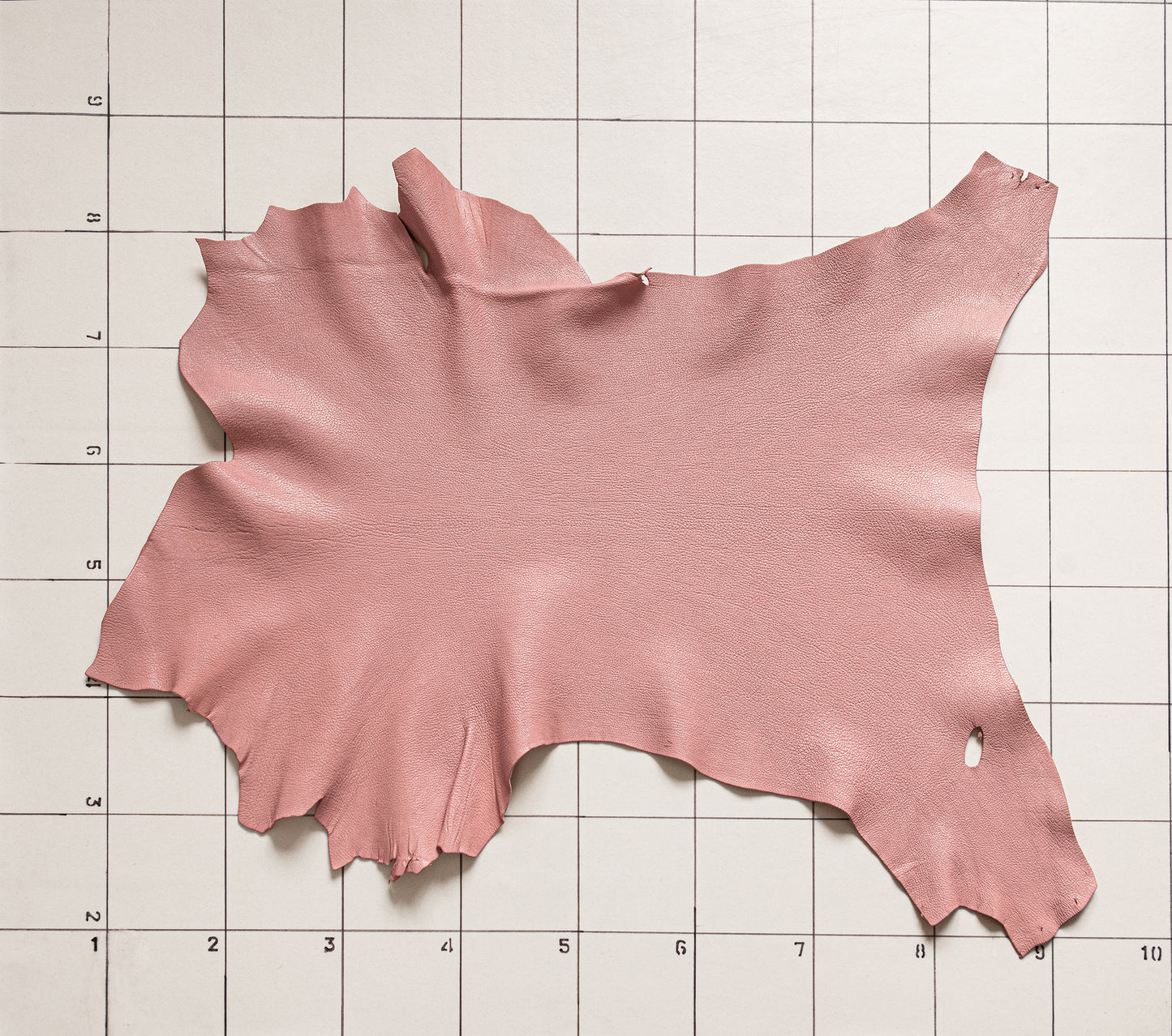 Goat Glossy Pink