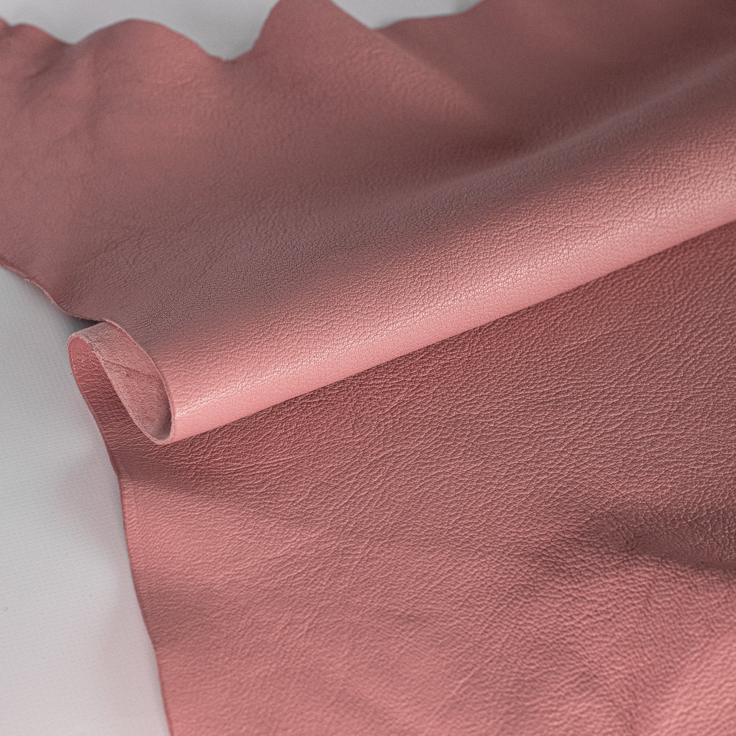 Goat Glossy Pink