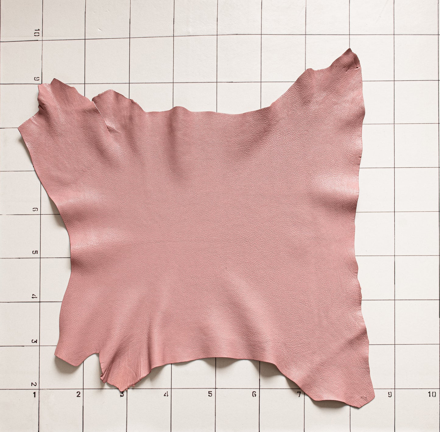 Goat Glossy Pink