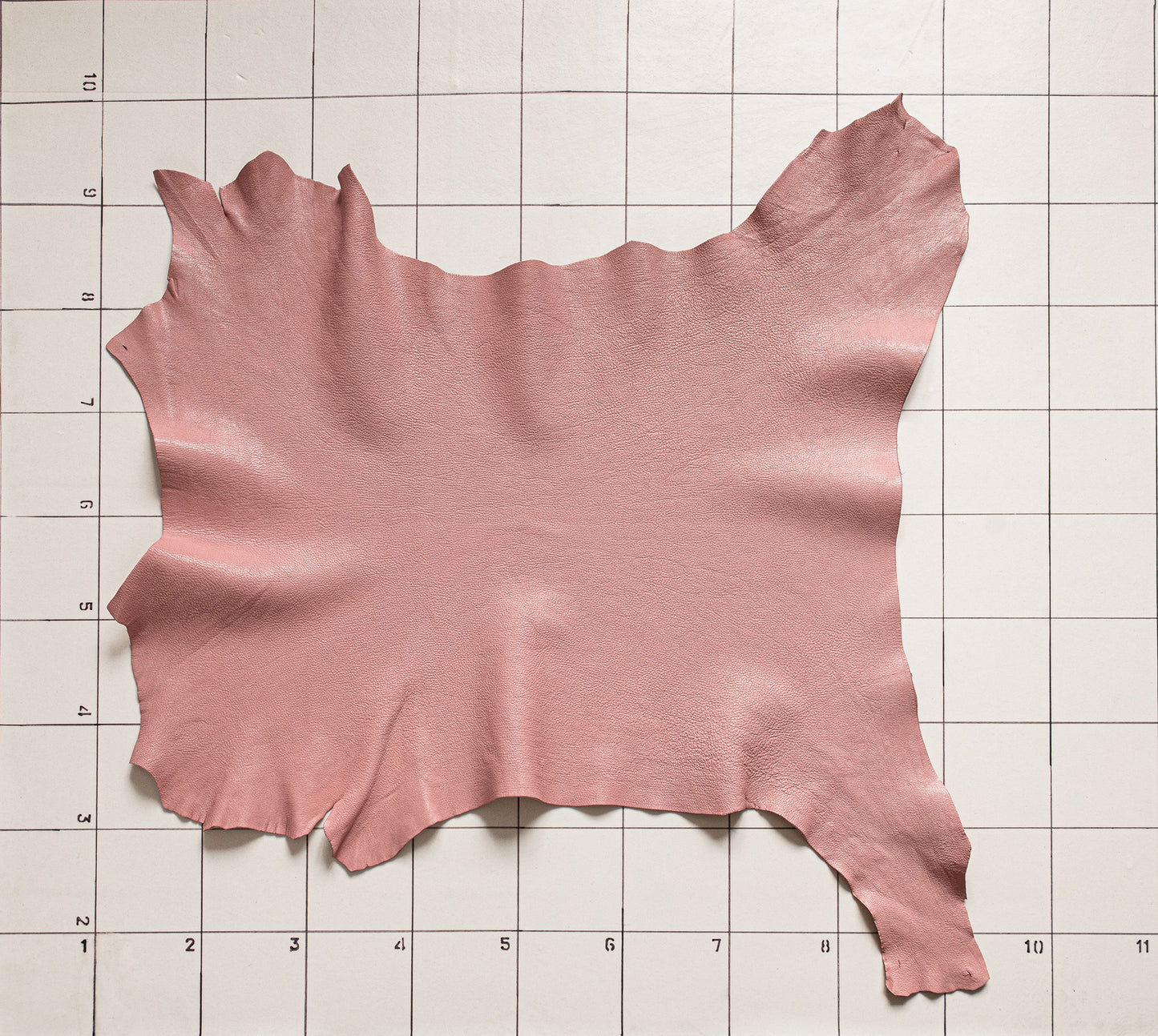 Goat Glossy Pink