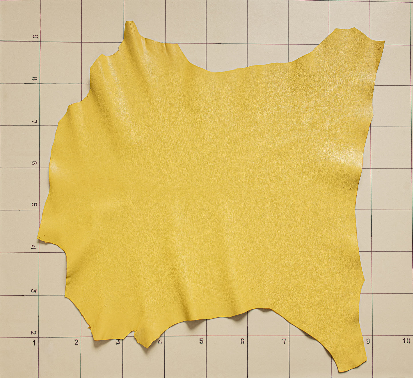 Goat Yellow Lemon