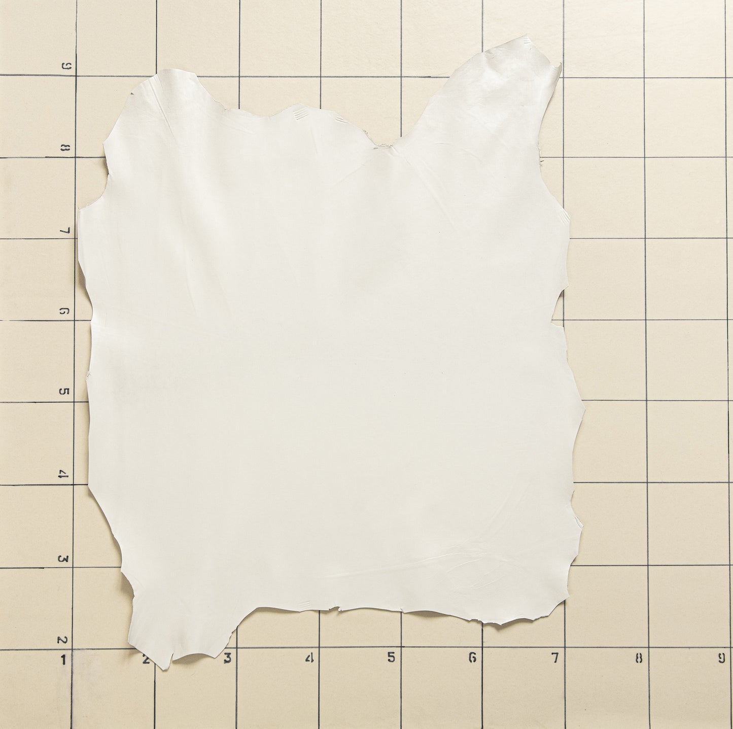 Goat Eggshell White Smooth