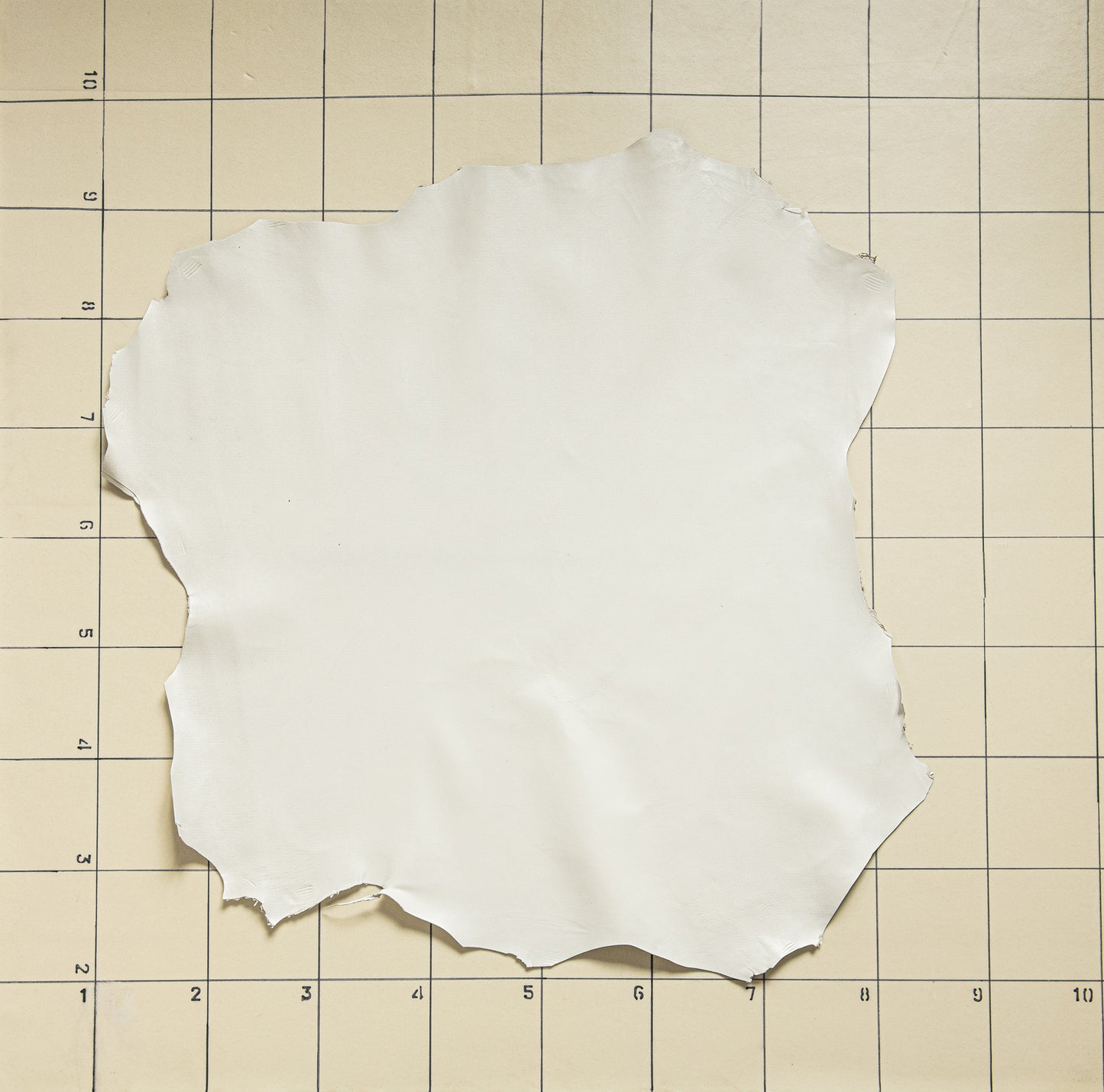 Goat Eggshell White Smooth