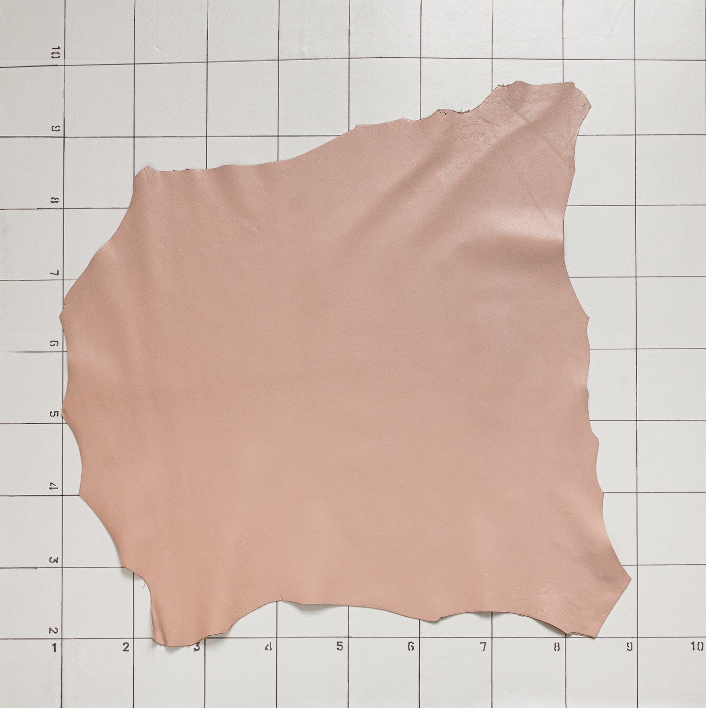 Goat Calm Pinky Lavender
