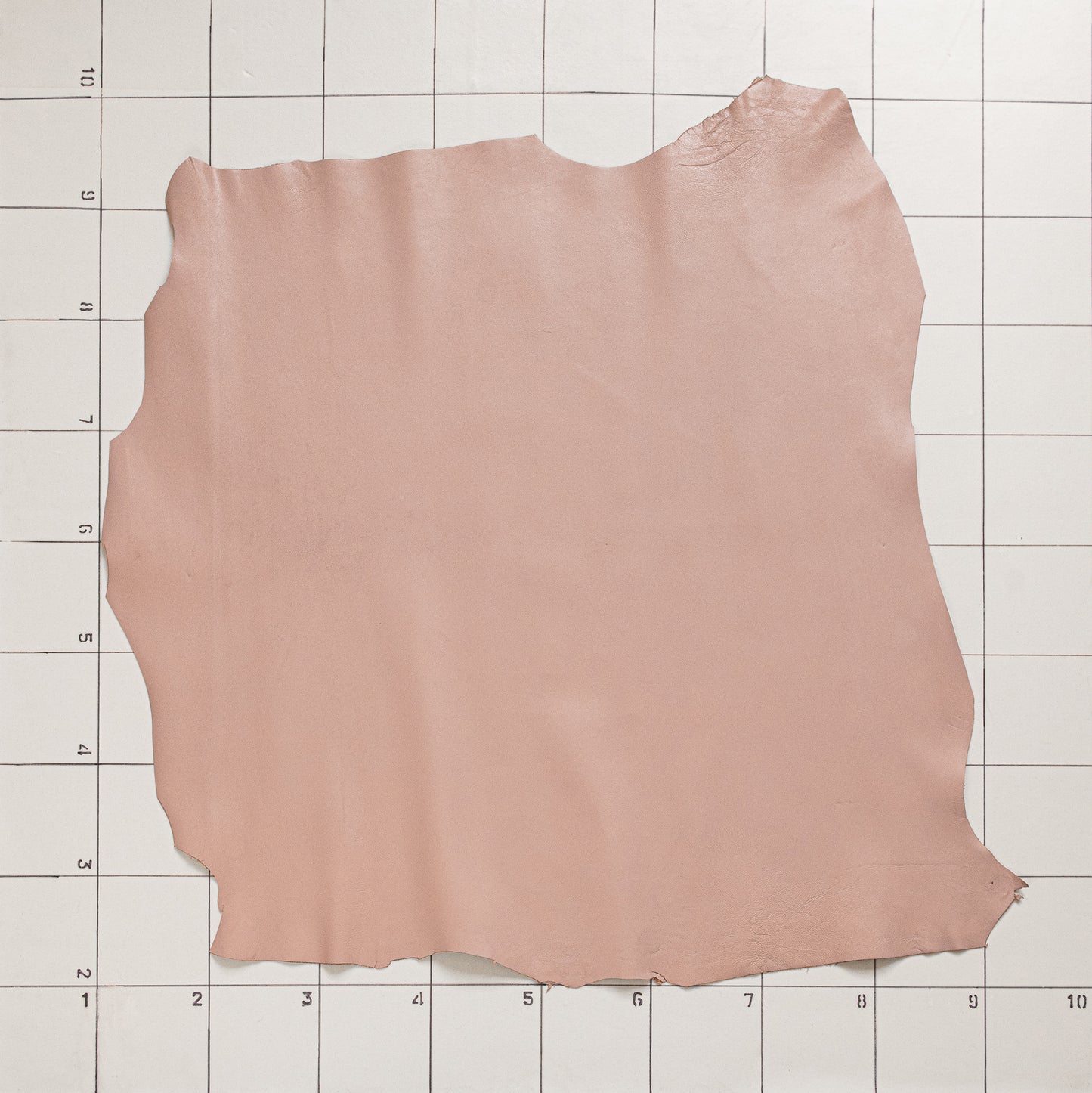 Goat Calm Pinky Lavender
