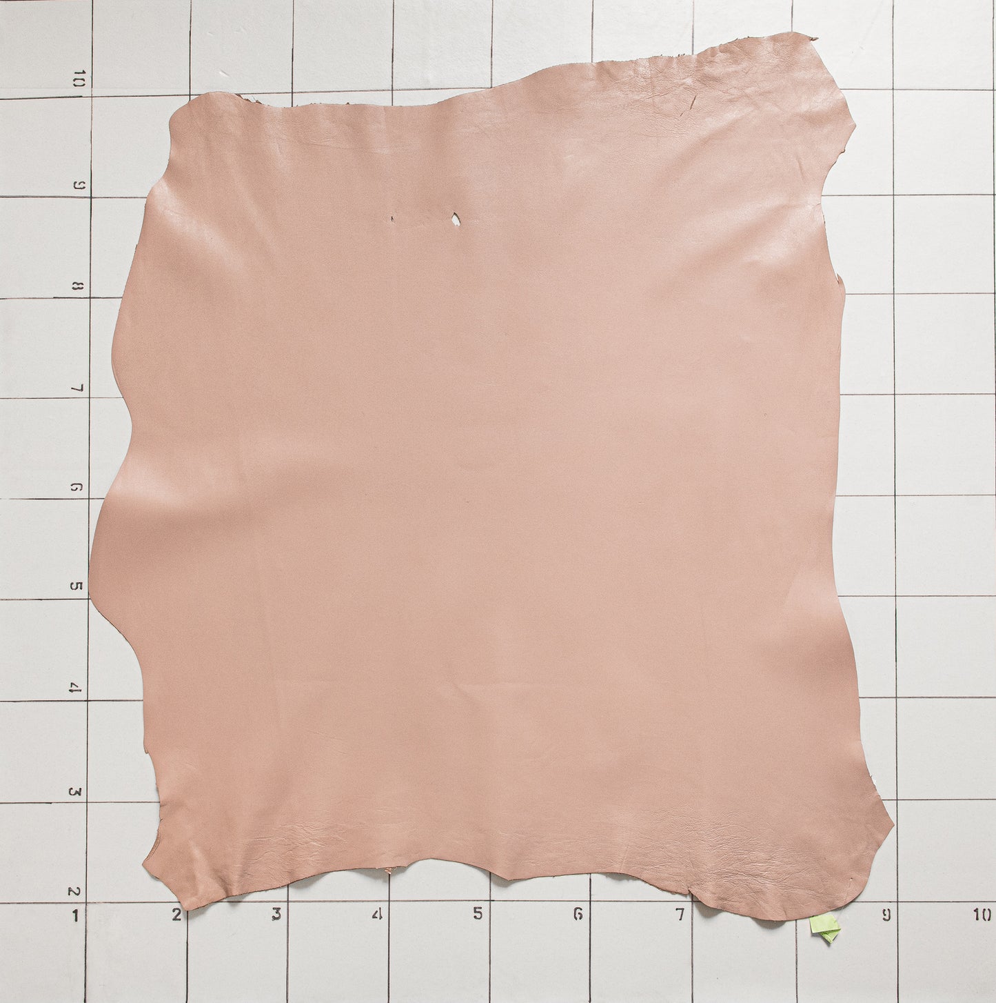 Goat Calm Pinky Lavender
