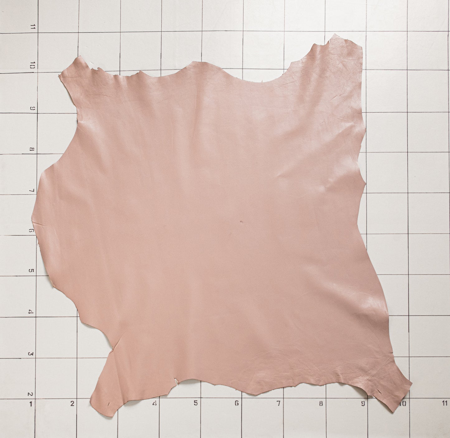 Goat Calm Pinky Lavender