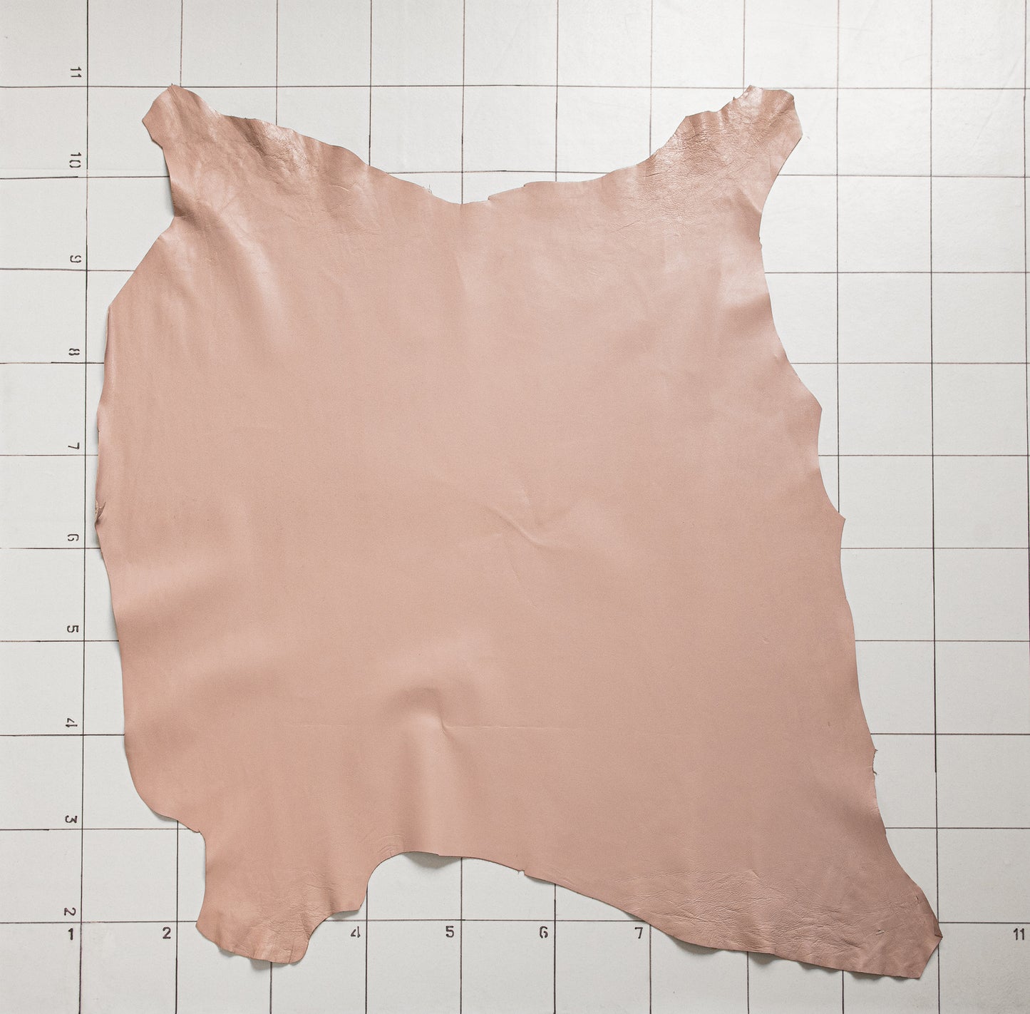Goat Calm Pinky Lavender