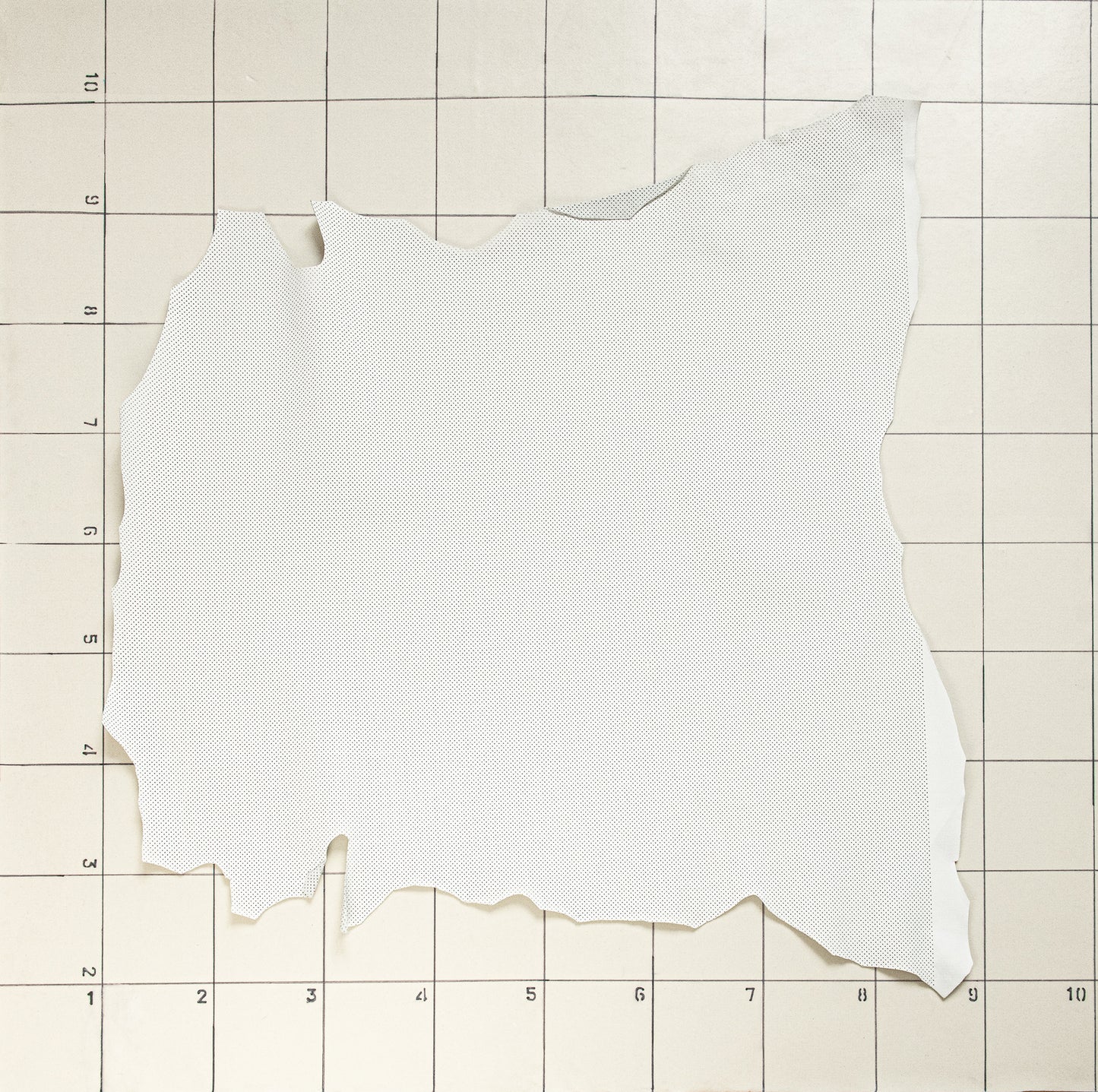 Goat White Perforated