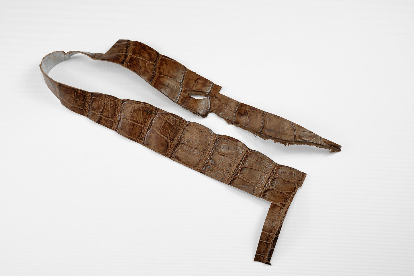 Crocodile Pecan, parts for a watch strap