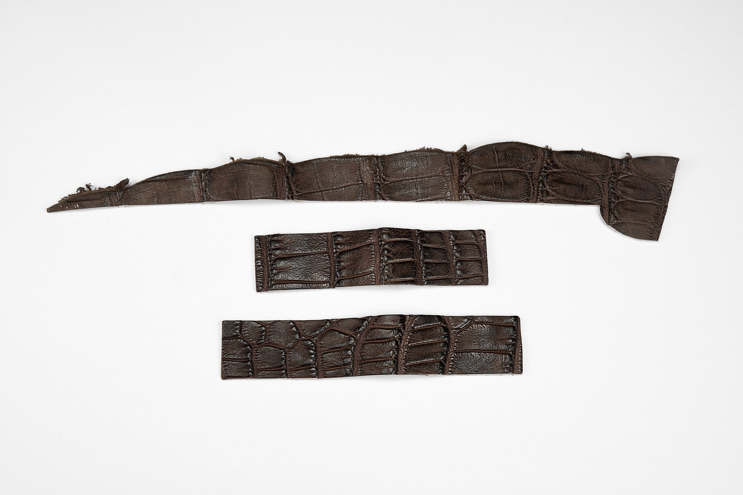 Crocodile Blueberry Brown, parts for a Watch strap