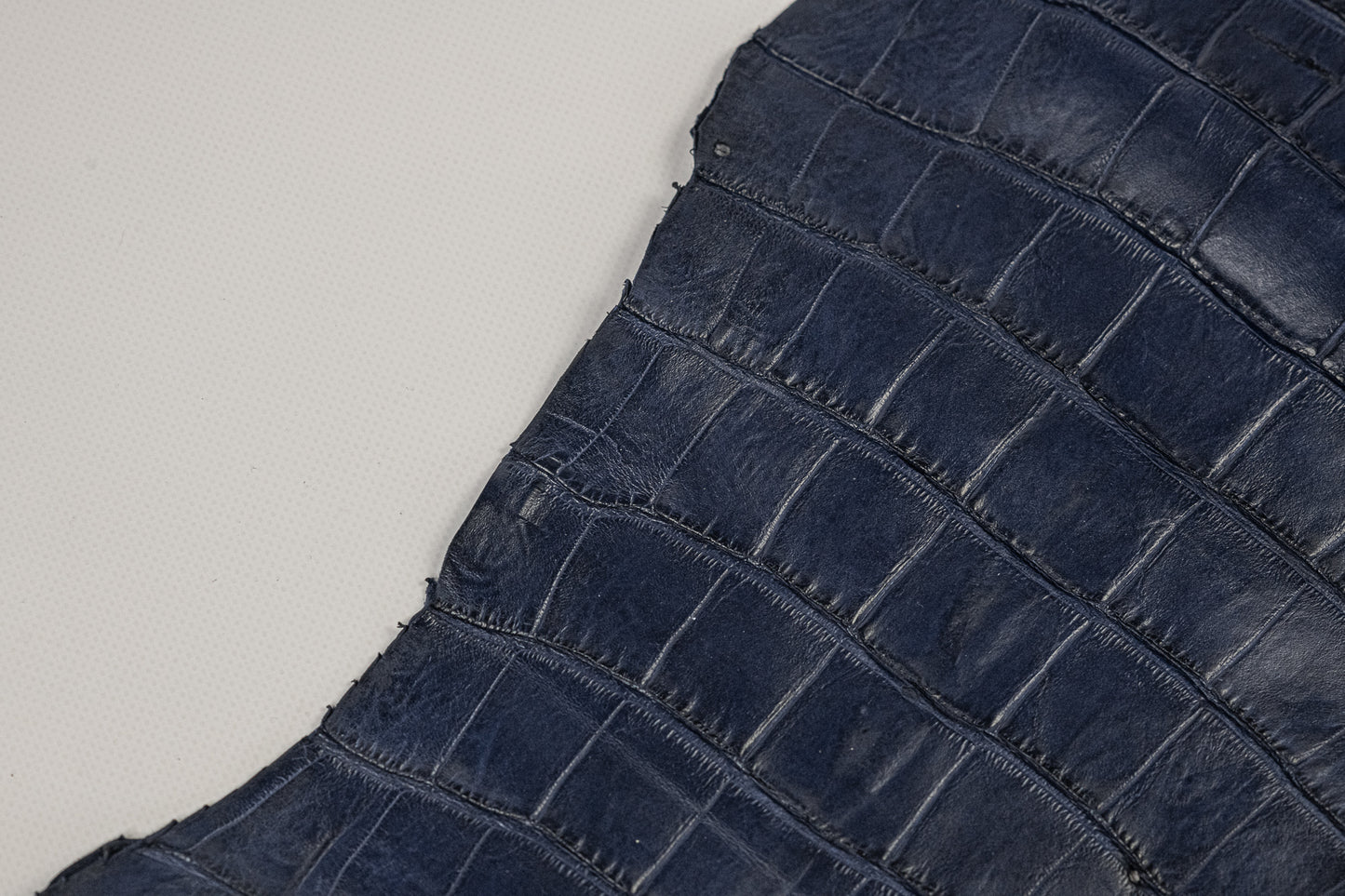 Crocodile Navy Blue Tail