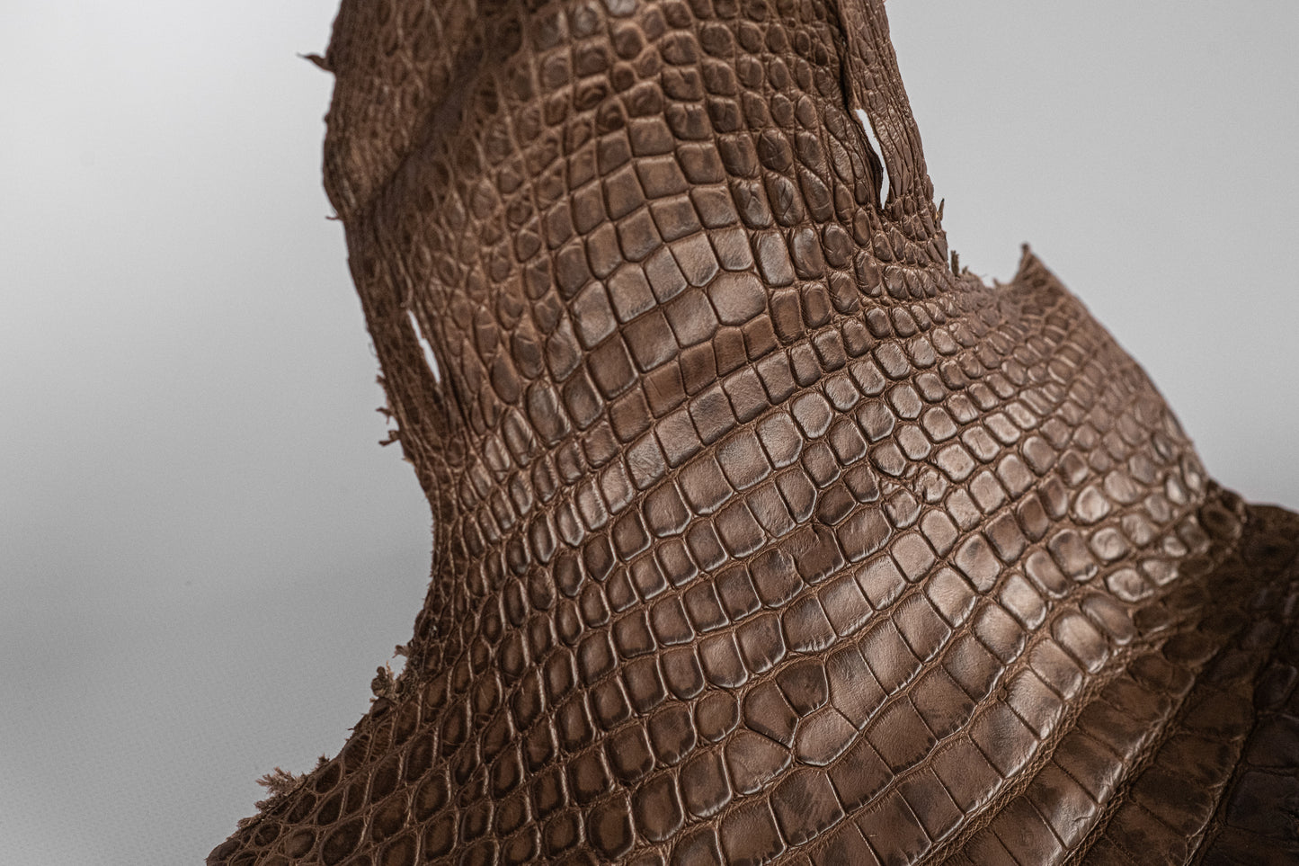 Alligator Patina Brown Head+Shoulders