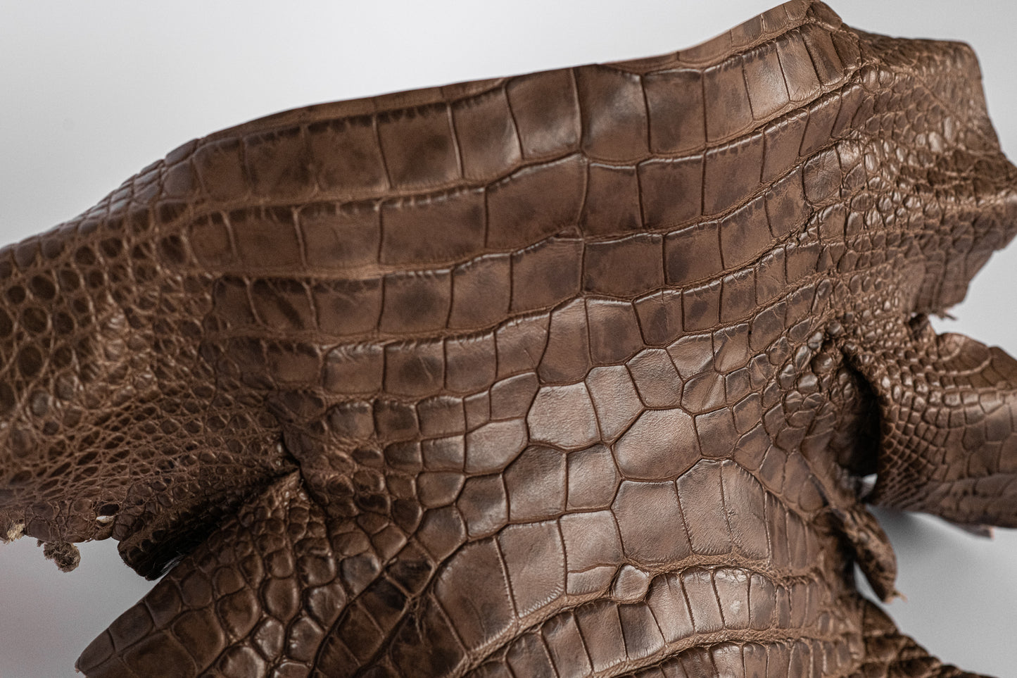 Alligator Patina Brown Head+Shoulders