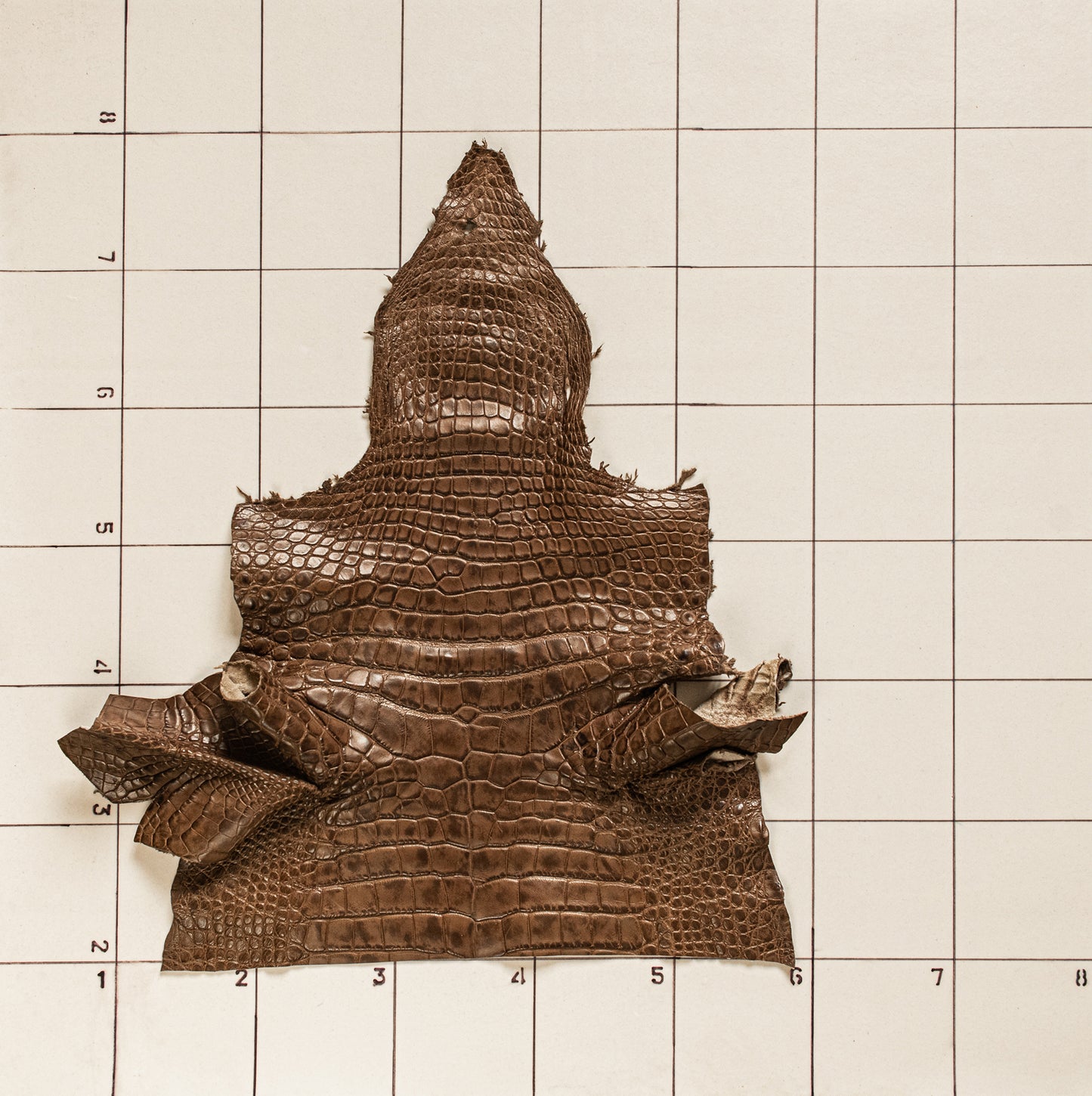 Alligator Patina Brown Head+Shoulders