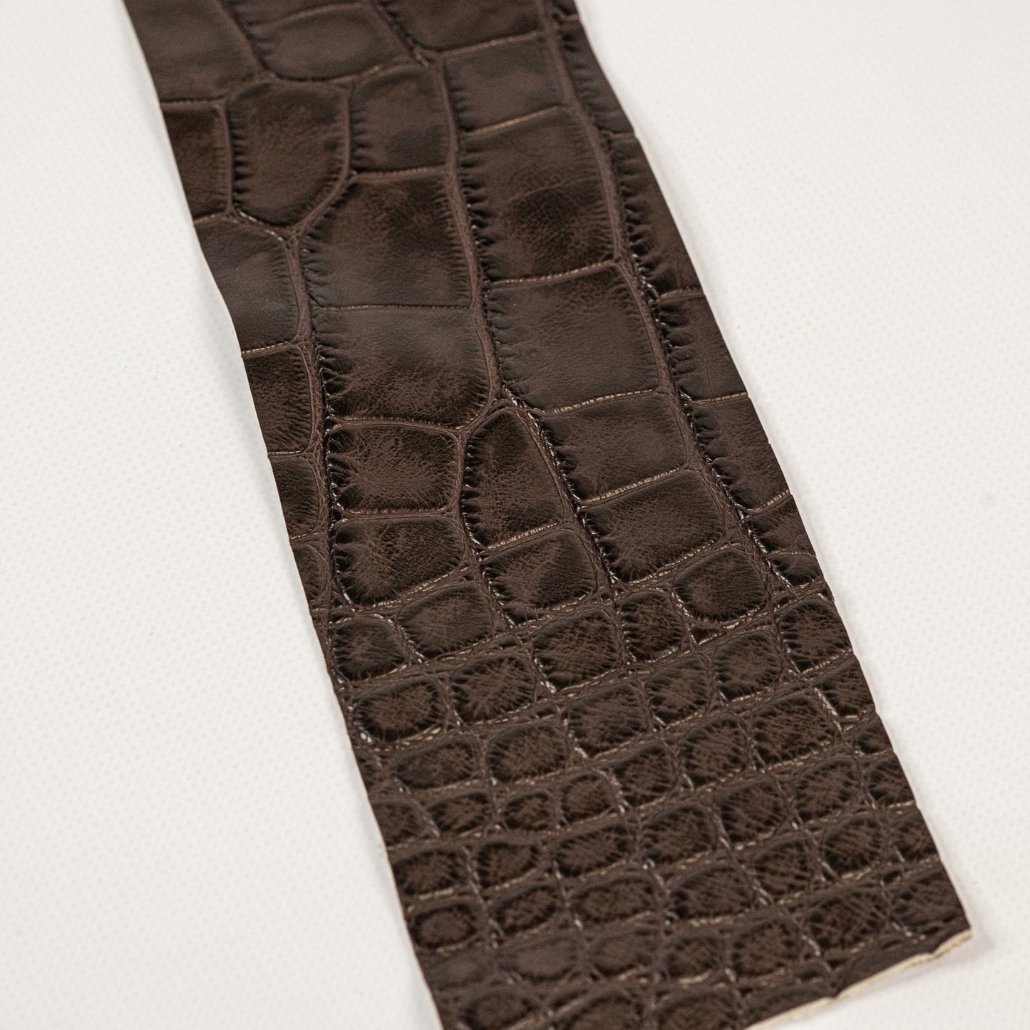 Alligator Raspberry Brown Belly Panel