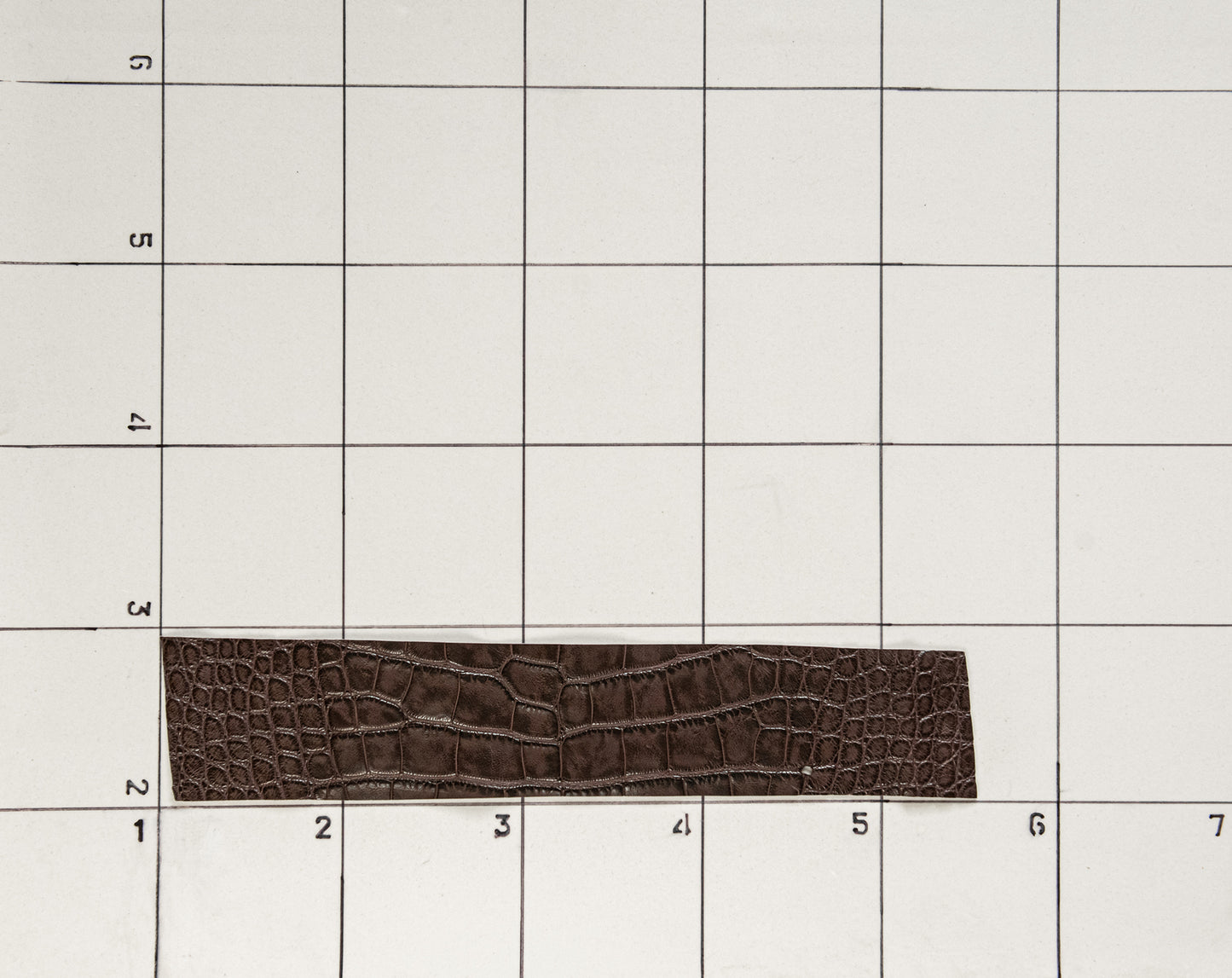 Alligator Raspberry Brown Belly Panel