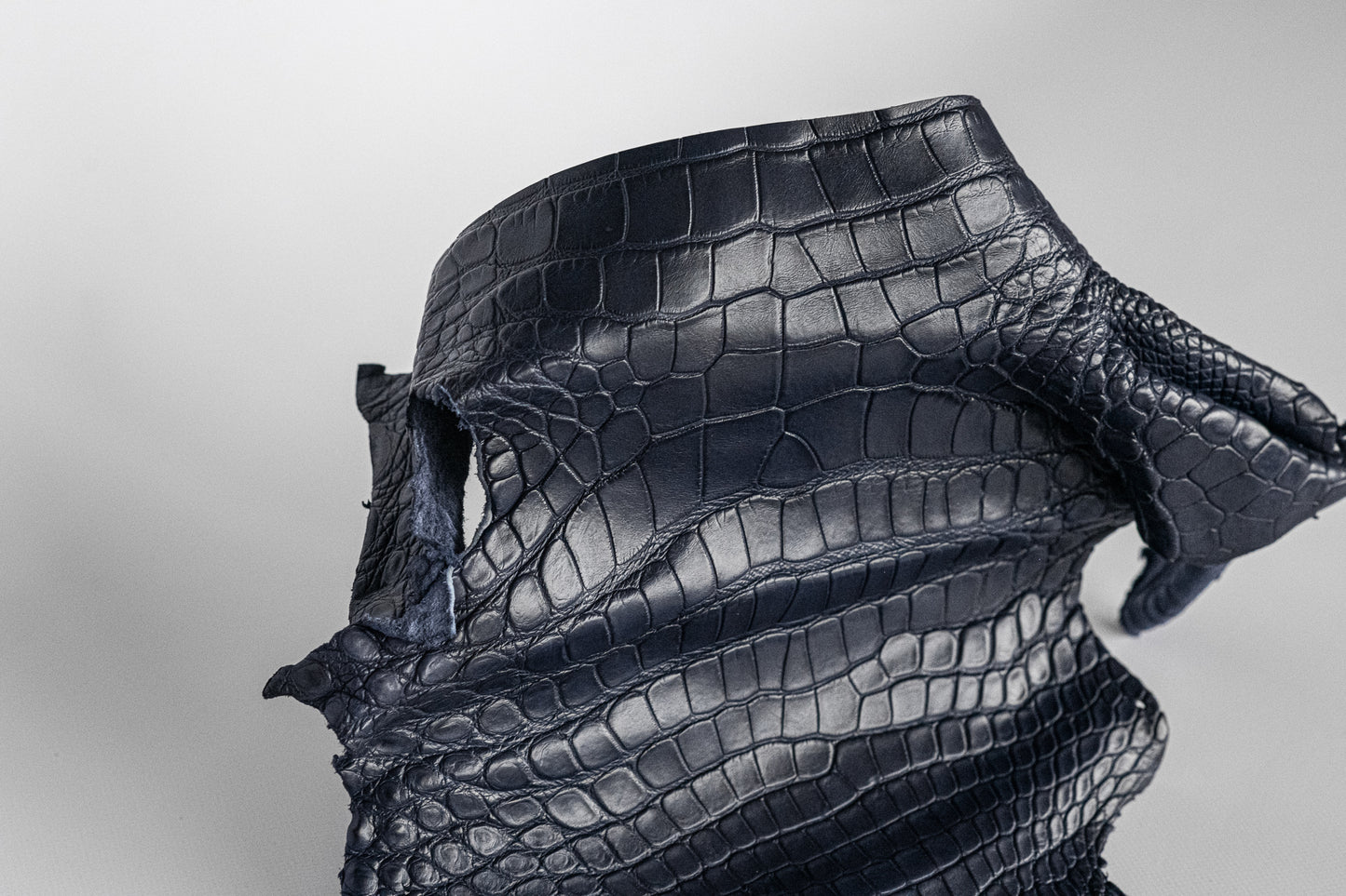 Alligator Navy Blue Head with Shoulder