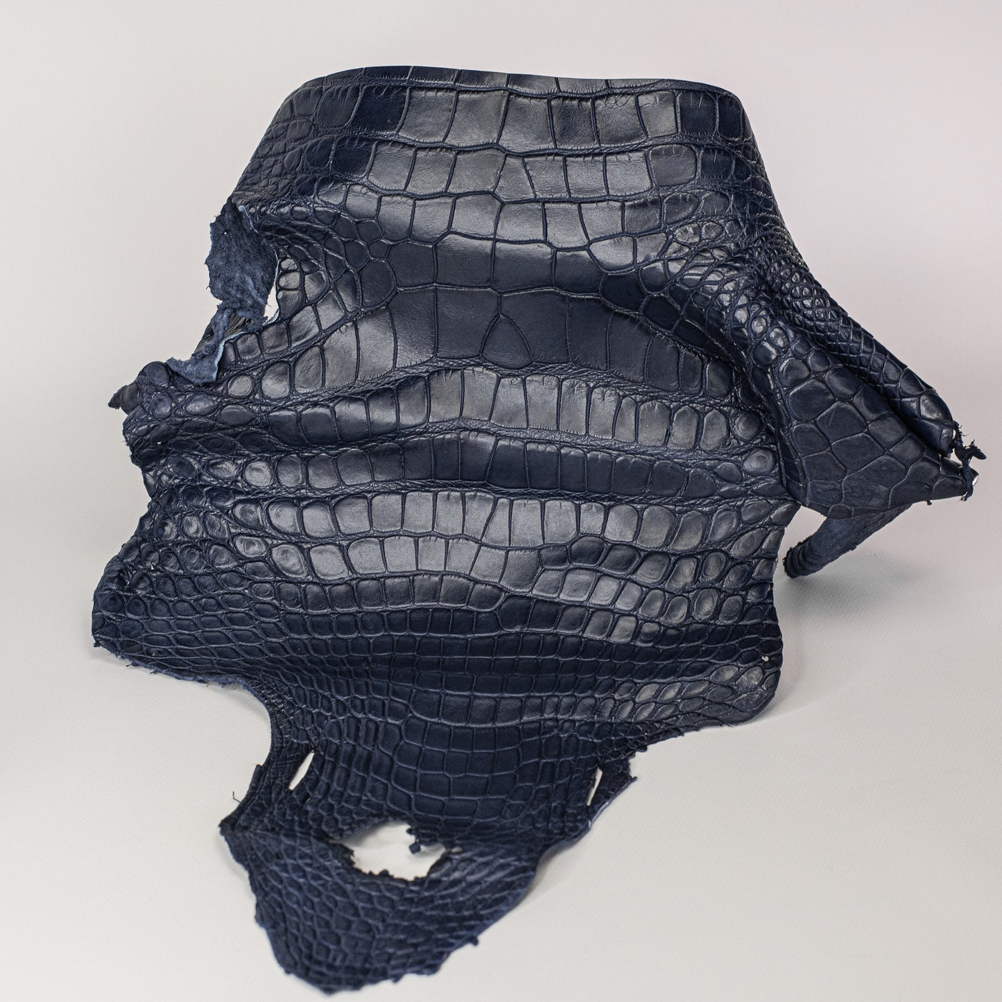 Alligator Navy Blue Head with Shoulder