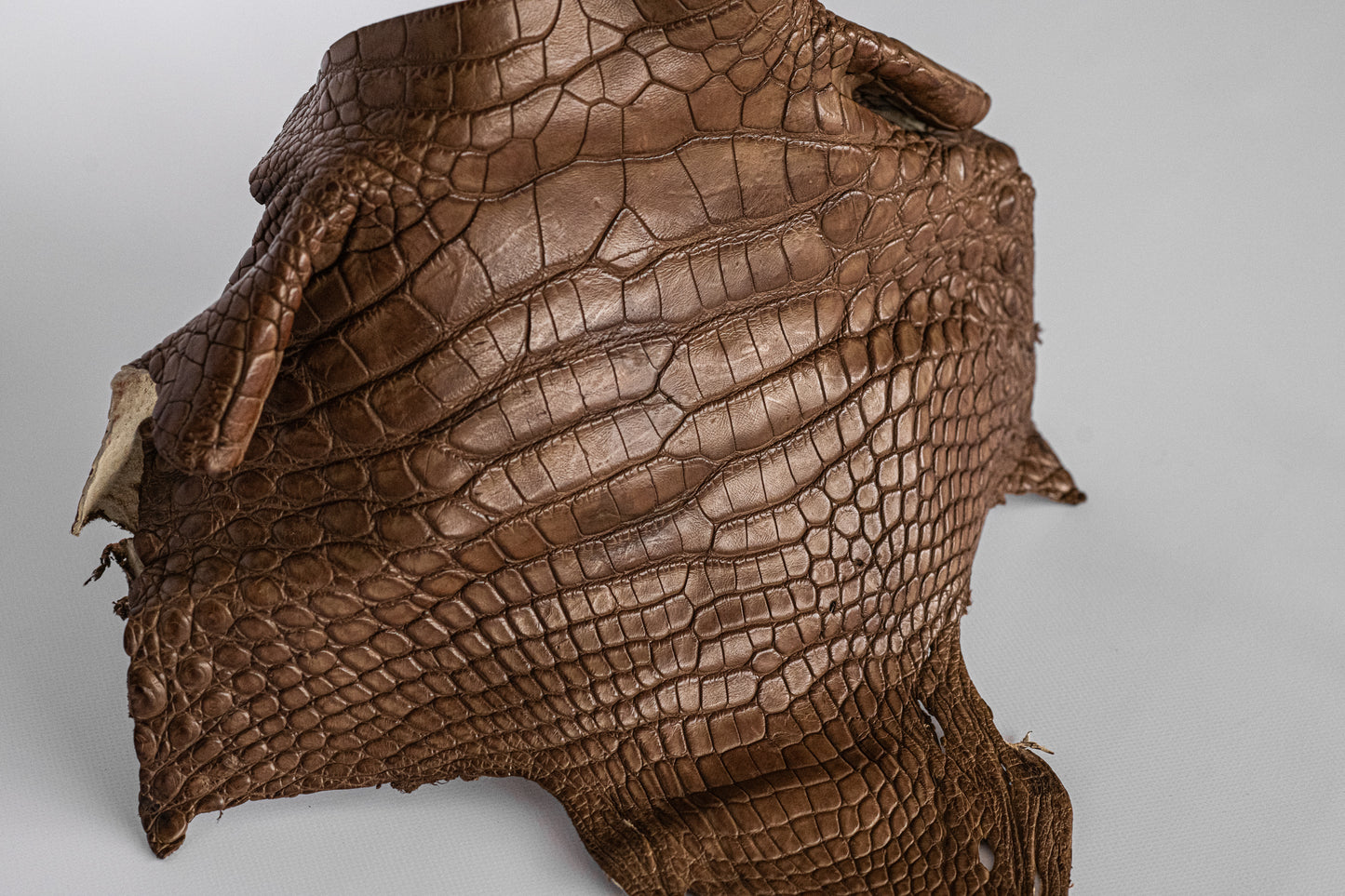 Alligator Pecan Brown Head