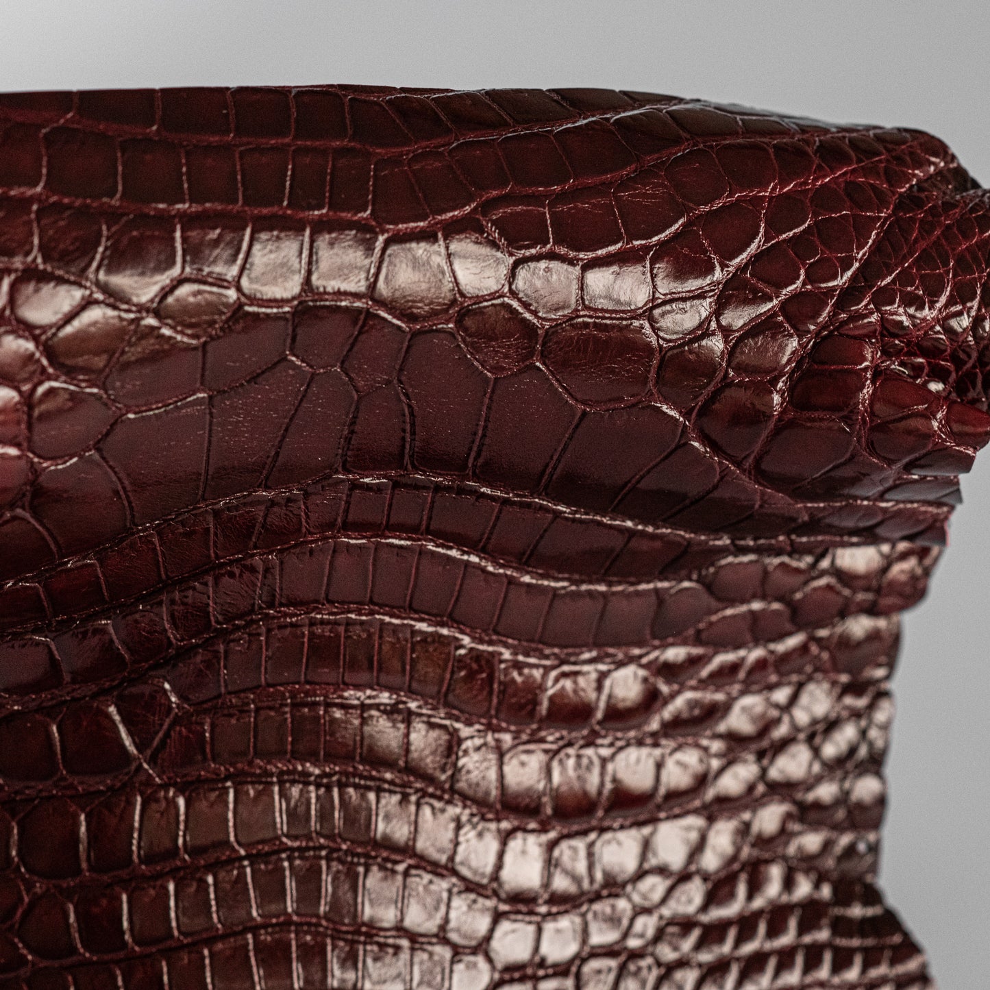 Alligator Burgundy Glossy head