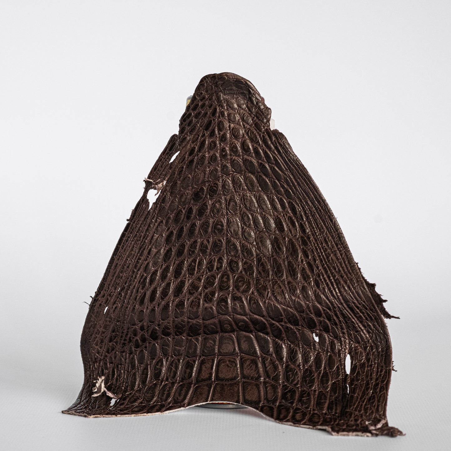 Alligator Head Brown