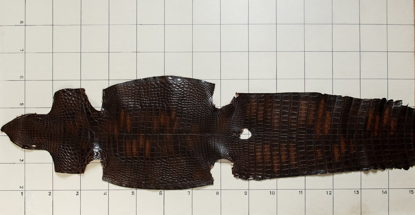 Alligator Patina Brown skins