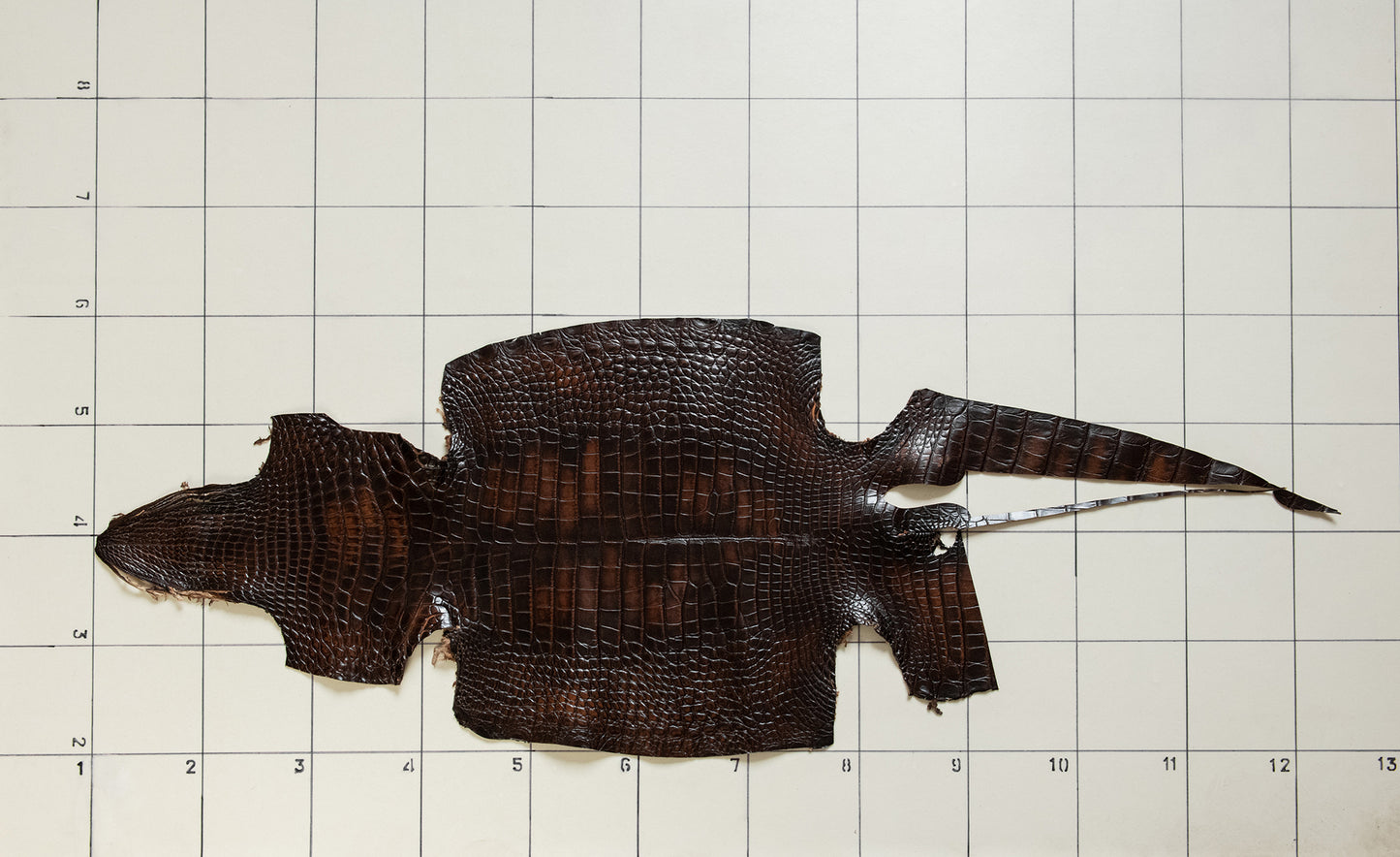 Alligator Patina Brown skins