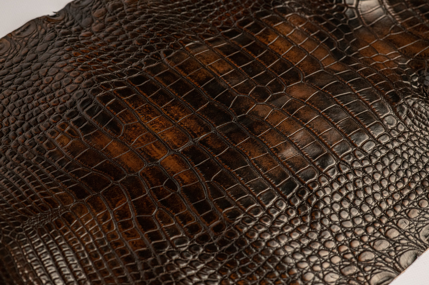 Alligator Patina Brown skins