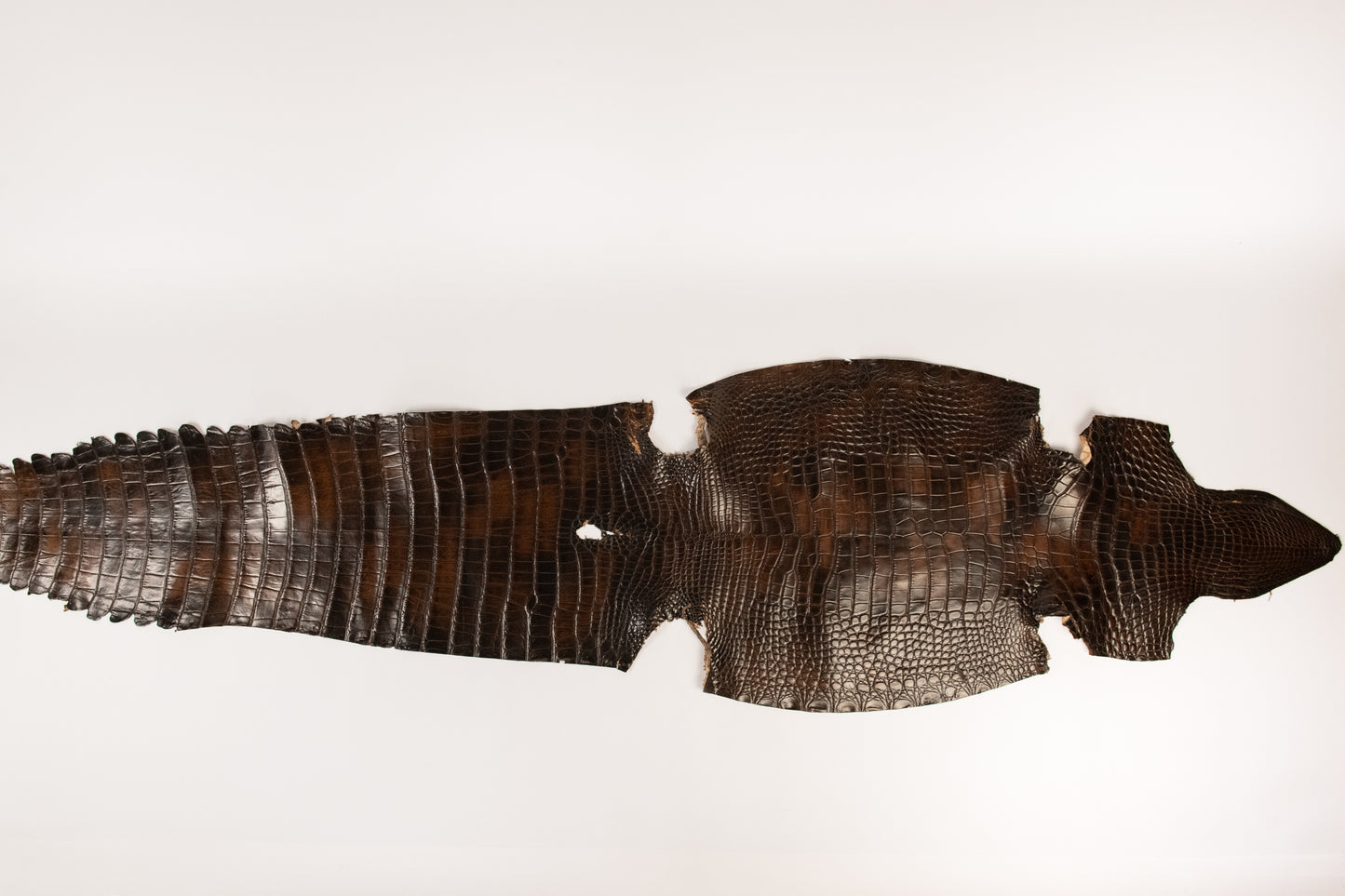 Alligator Patina Brown skins