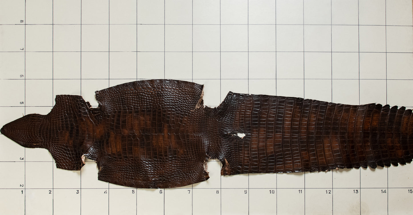 Alligator Patina Brown skins