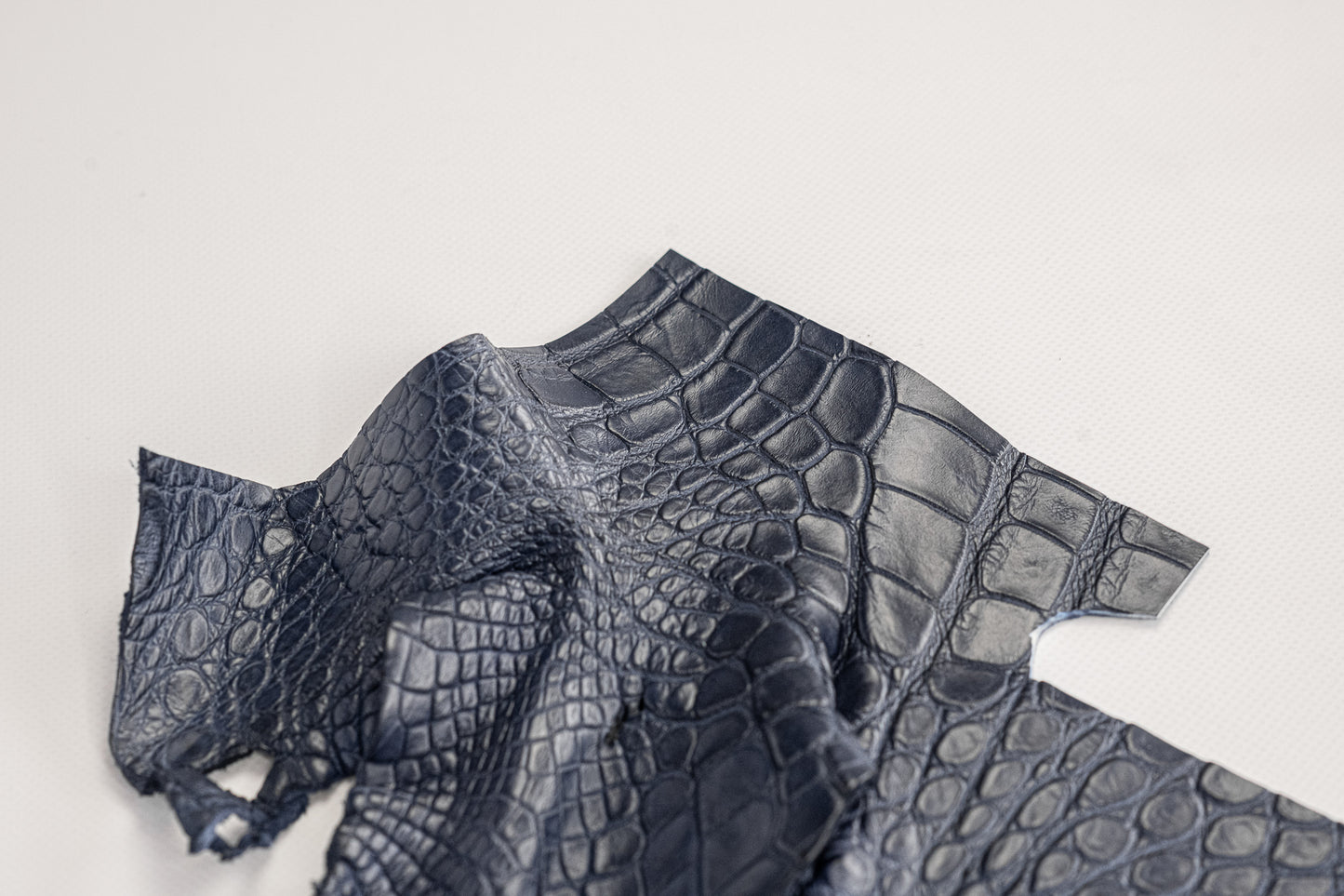 Alligator Navy blue, Legs