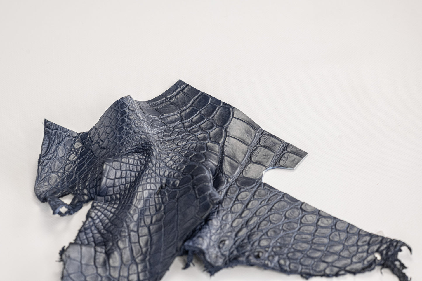 Alligator Navy blue, Legs