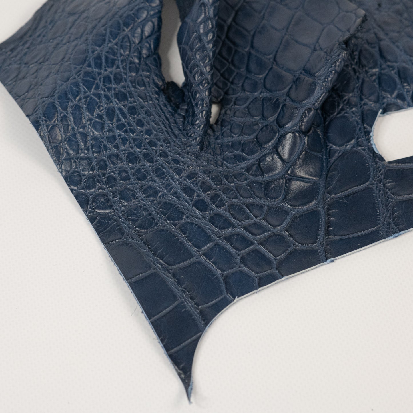 Alligator Navy blue, Legs