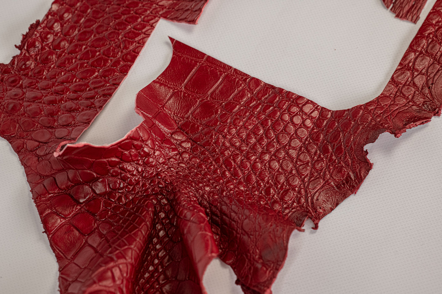 Alligator Red, legs and parts