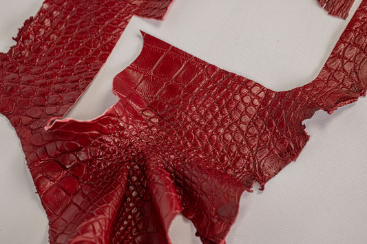 Alligator Red, legs and parts