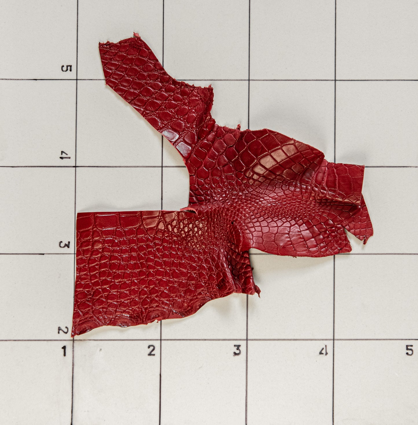 Alligator Red, legs and parts