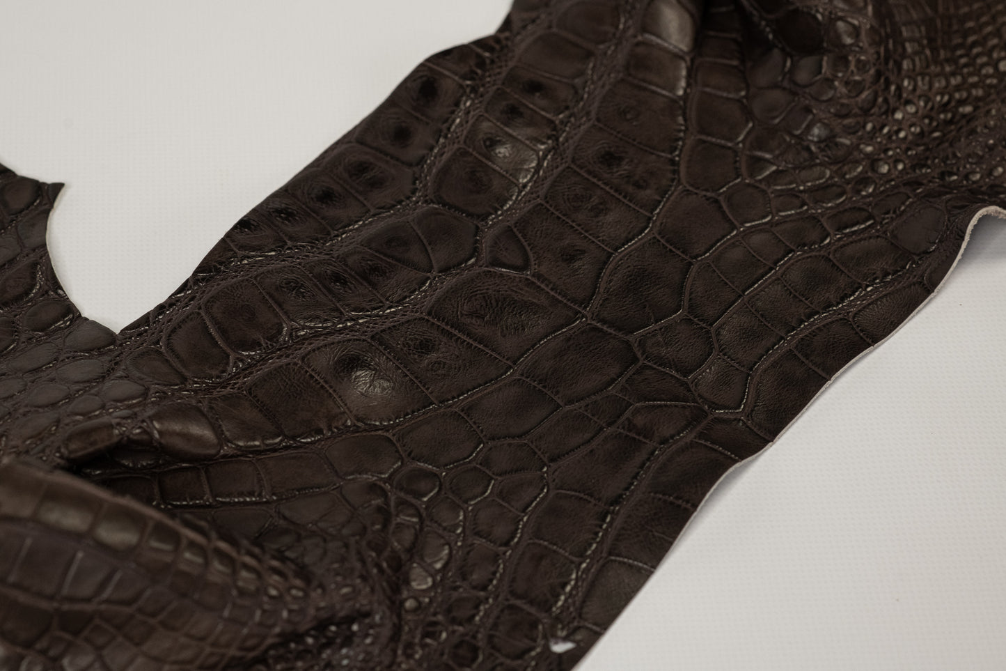 Alligator Raspberry brown parts
