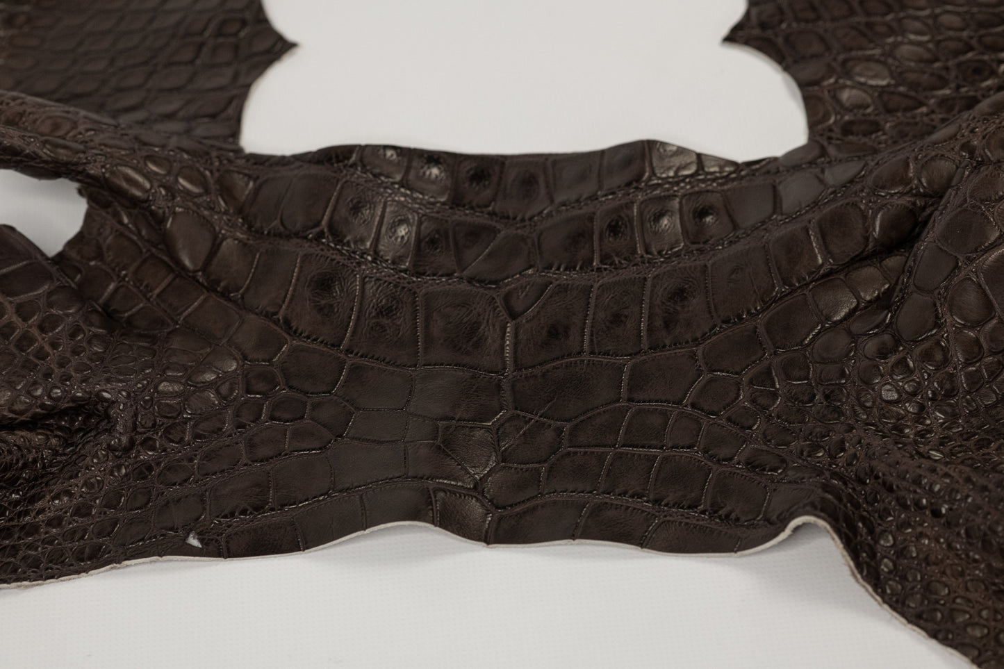 Alligator Raspberry brown parts