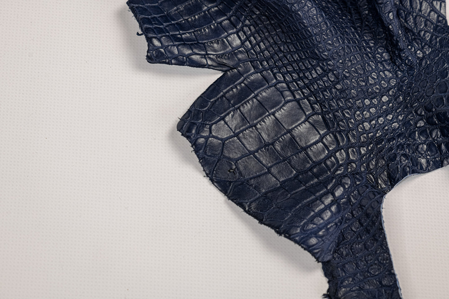 Alligator Navy blue, parts