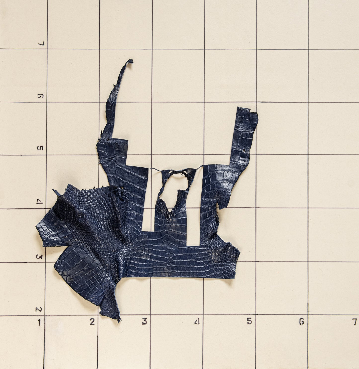 Alligator Navy blue, parts