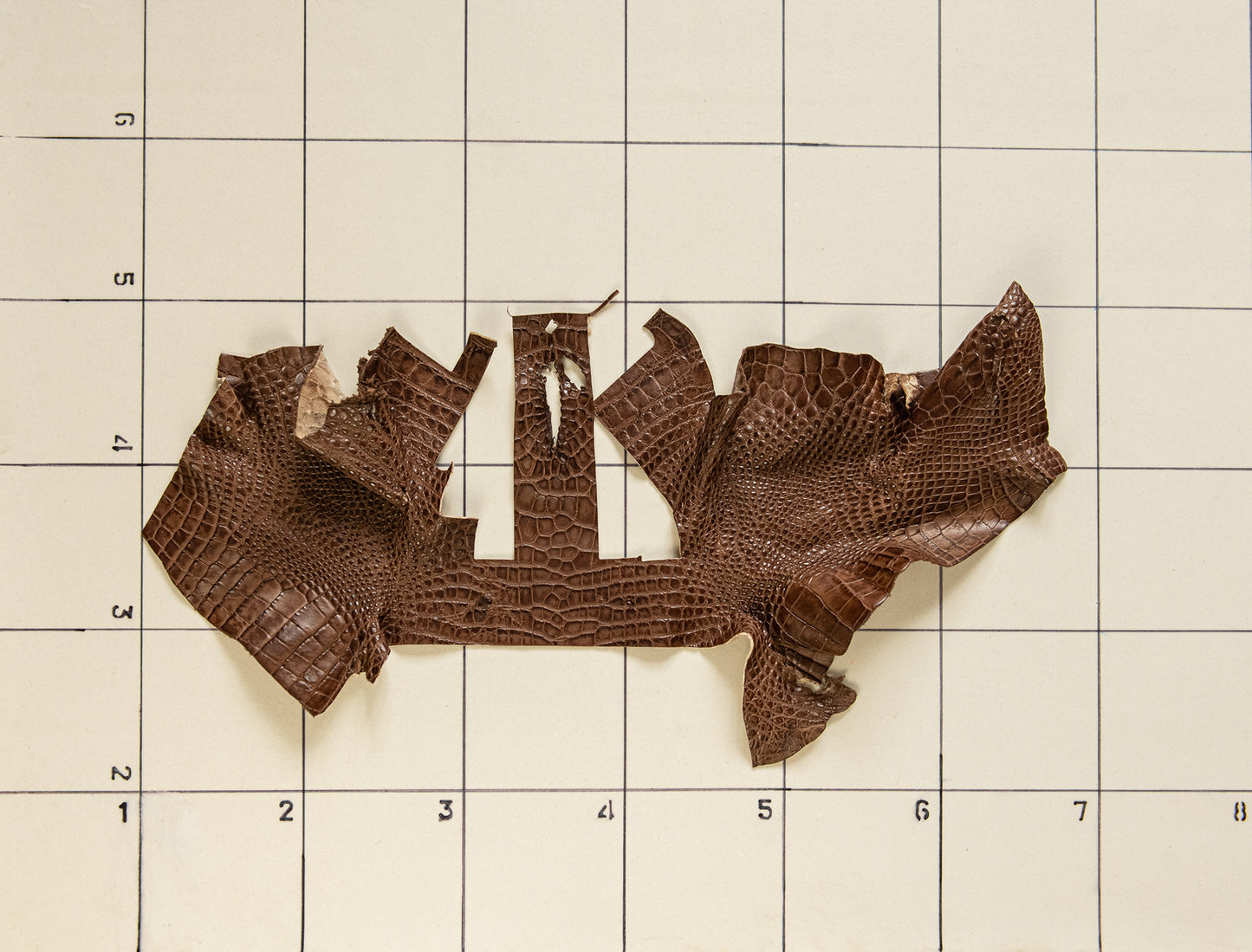 Alligator Pecan, parts